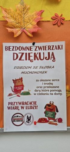 Akcja Psu na budę