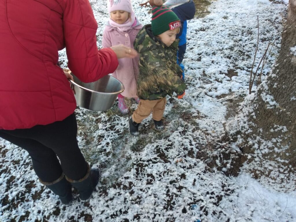 Wesołki dokarmiają ptaszki zimą